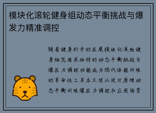 模块化滚轮健身组动态平衡挑战与爆发力精准调控